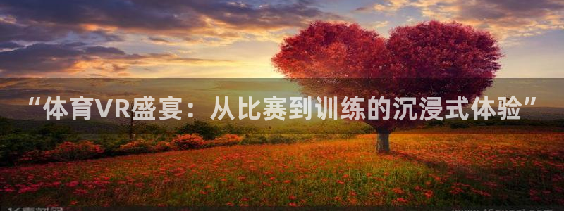 “体育VR盛宴：从比赛到训练的沉浸式体验”