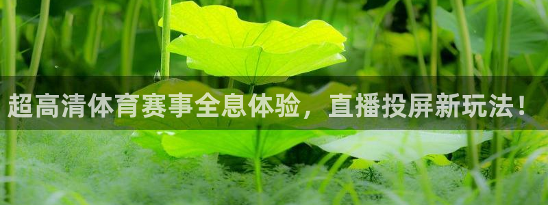 超高清体育赛事全息体验，直播投屏新玩法！