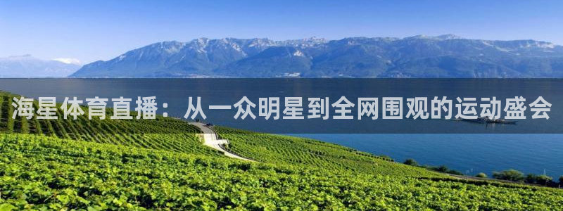 海星体育直播：从一众明星到全网围观的运动盛会