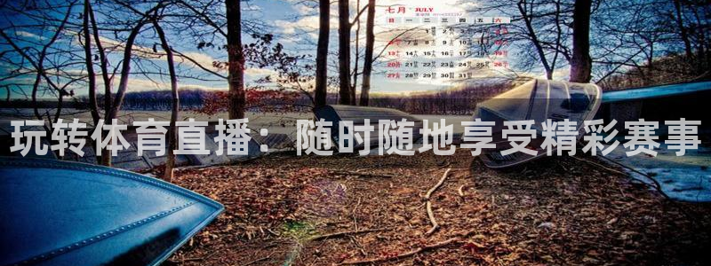 玩转体育直播：随时随地享受精彩赛事