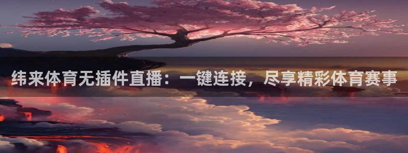 纬来体育无插件直播：一键连接，尽享精彩体育赛事