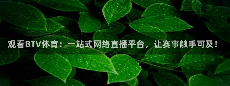 观看BTV体育：一站式网络直播平台，让赛事触手可及！