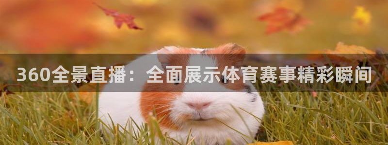 360全景直播：全面展示体育赛事精彩瞬间