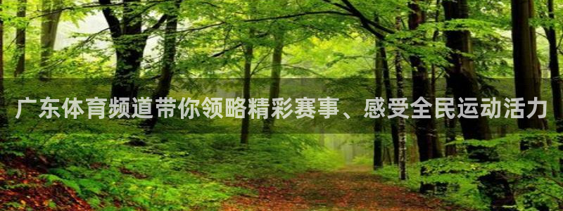 广东体育频道带你领略精彩赛事、感受全民运动活力
