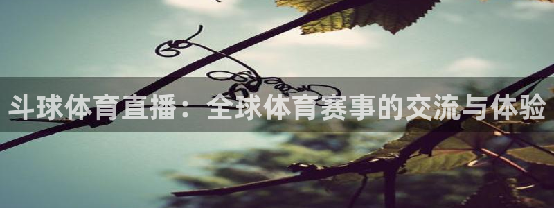 斗球体育直播：全球体育赛事的交流与体验