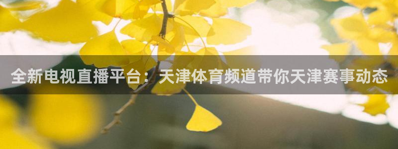 全新电视直播平台：天津体育频道带你天津赛事动态