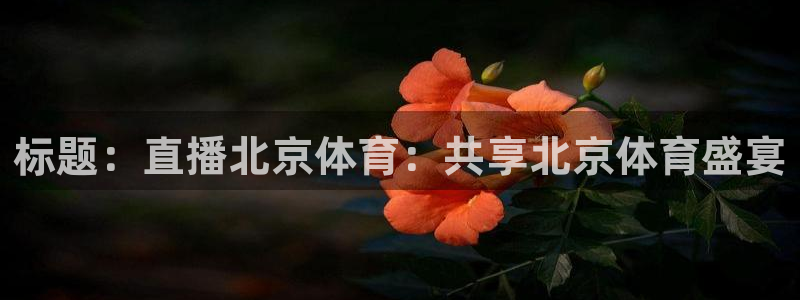 标题：直播北京体育：共享北京体育盛宴