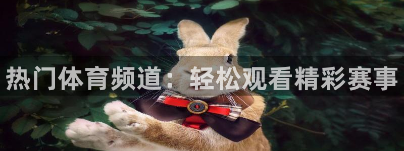 热门体育频道：轻松观看精彩赛事