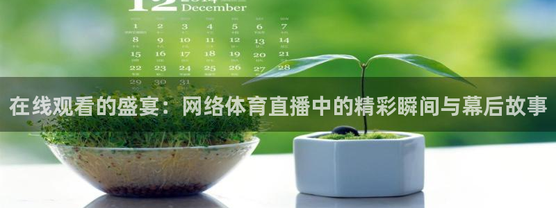 在线观看的盛宴：网络体育直播中的精彩瞬间与幕后故事
