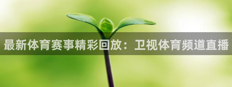 最新体育赛事精彩回放：卫视体育频道直播