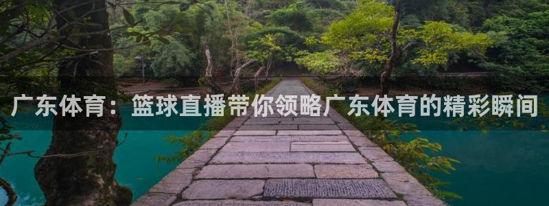 广东体育：篮球直播带你领略广东体育的精彩瞬间